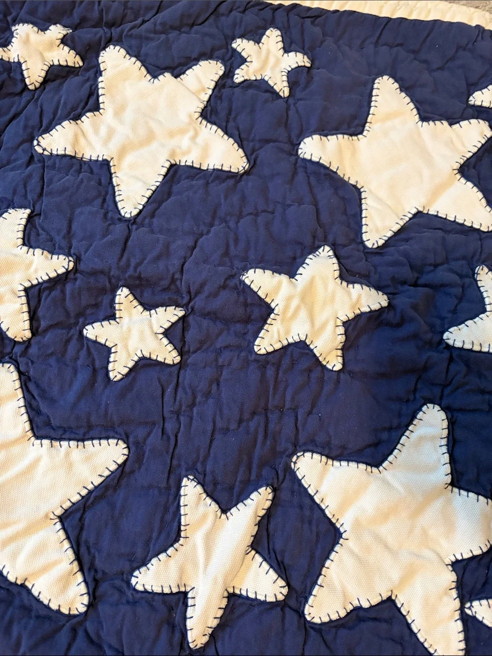 Pottery Barn Kids Euro Sham